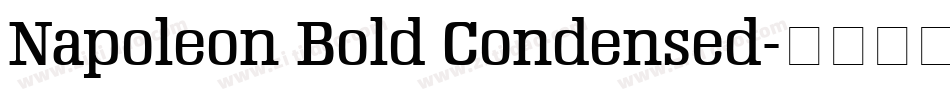 Napoleon Bold Condensed字体转换